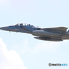 アグレッサー?  F15