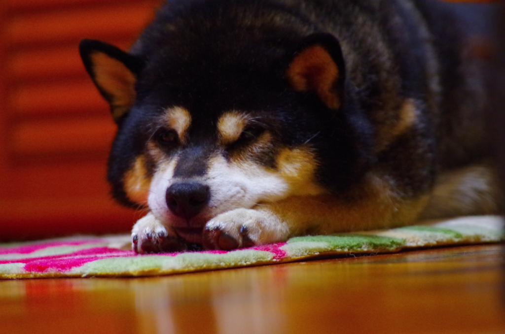 見る
