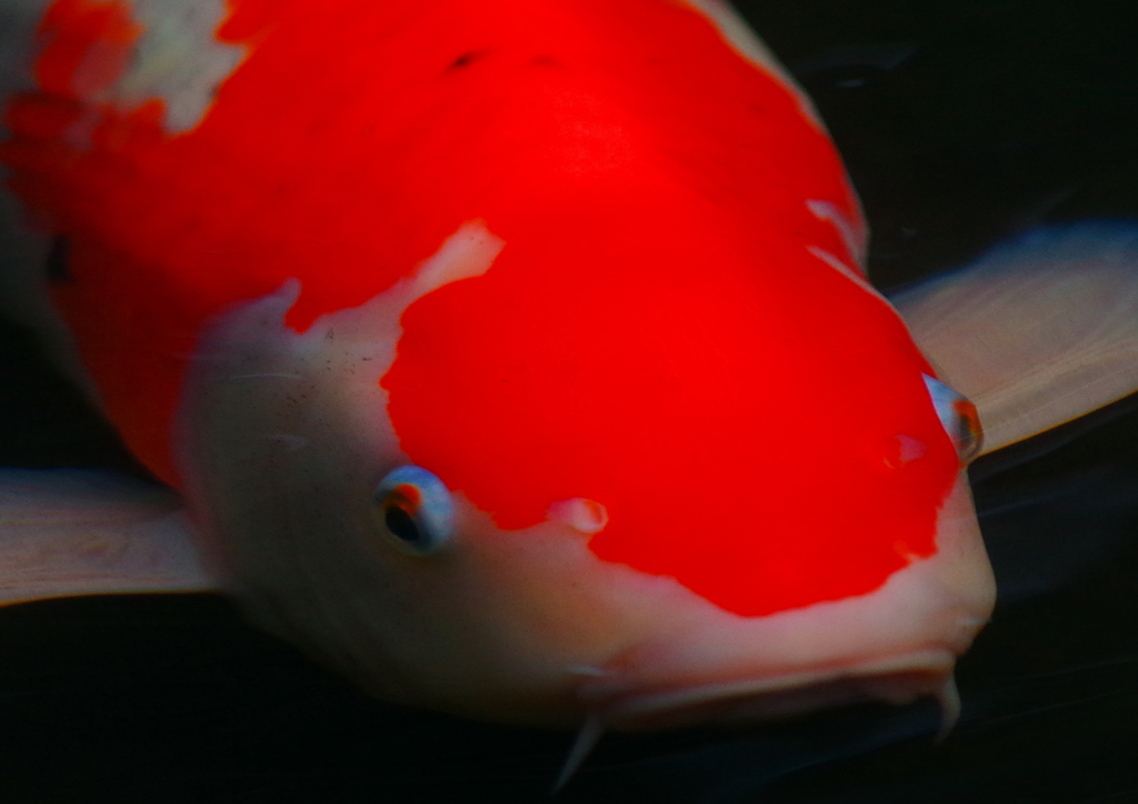寄る Ⅰ