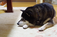 何をか思う秋