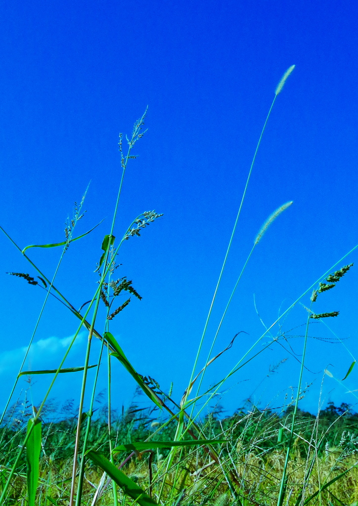 Into the Blue Ⅰ