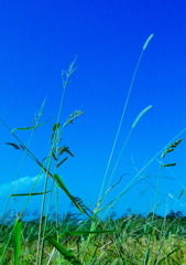 Into the Blue Ⅰ