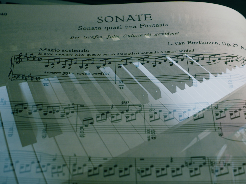「ピアノソナタ第14番嬰ハ短調作品27の2『月光』