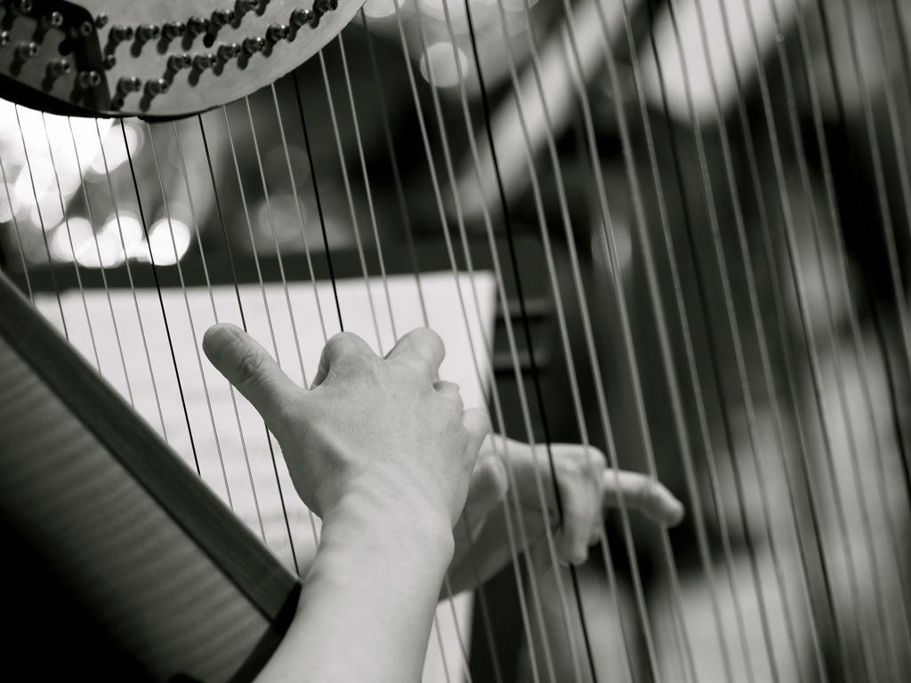 harp