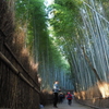 竹林