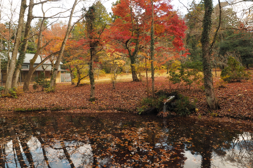 背景の建物…