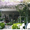 ガーデンのお花屋さん
