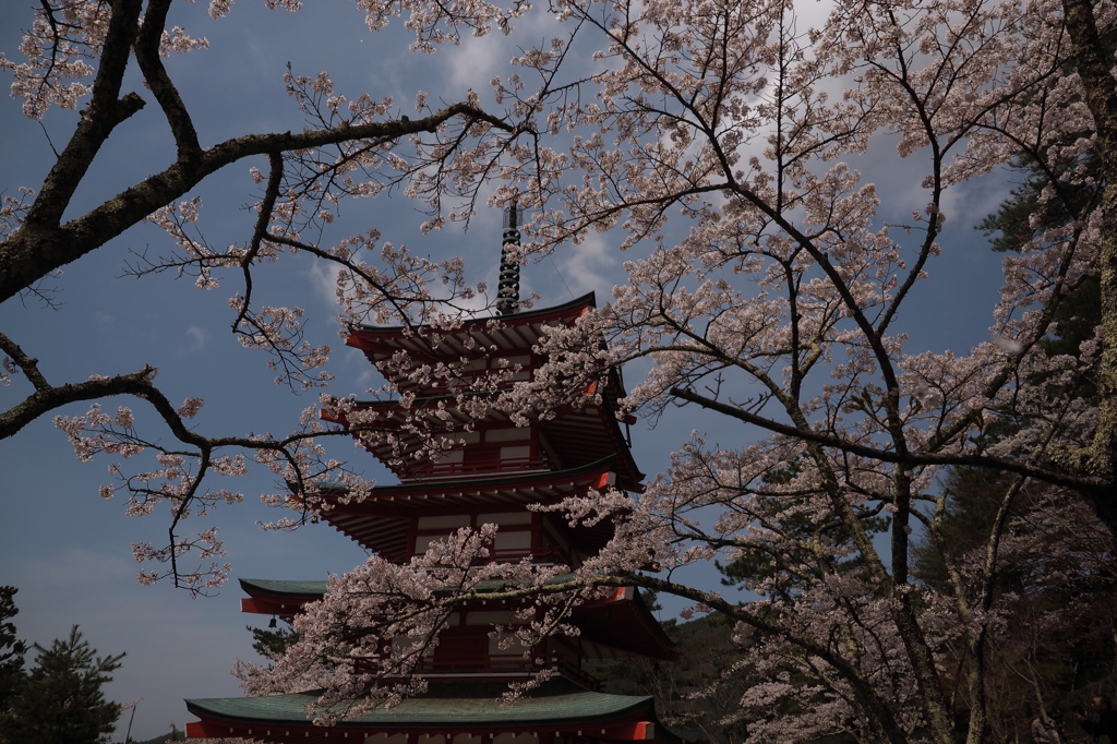 公園の五重塔