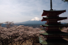 富士山と、五重塔と、桜…