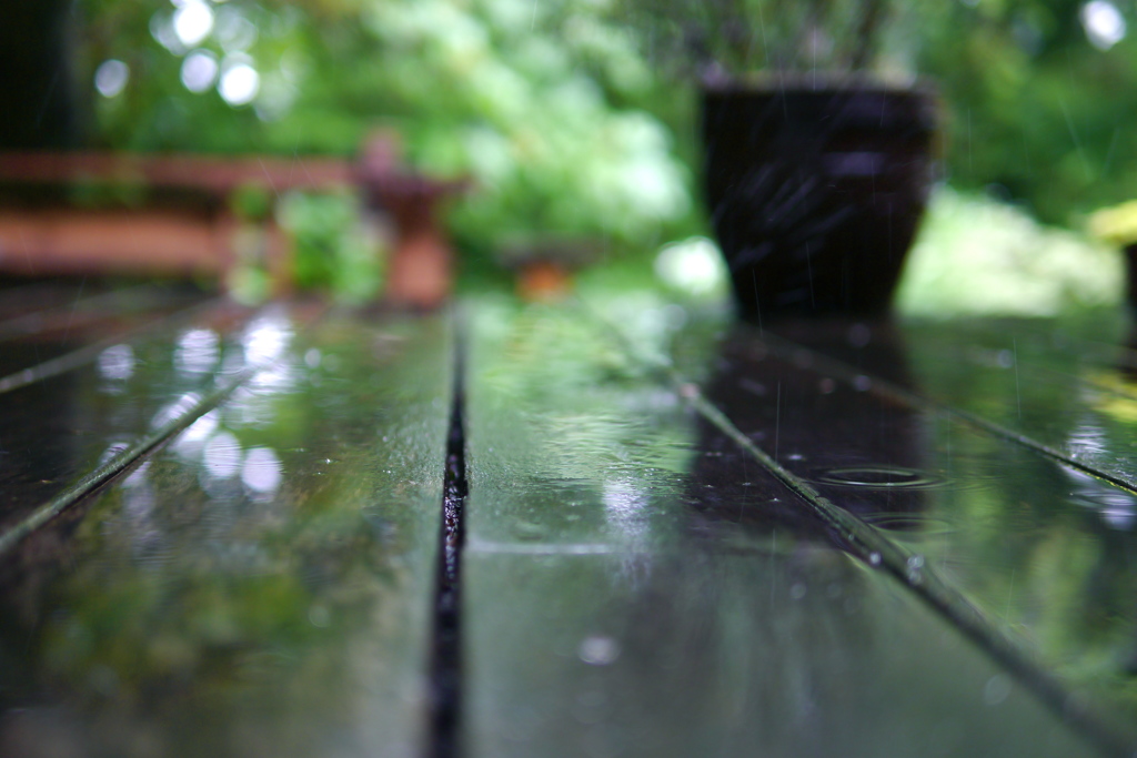 雨の情景