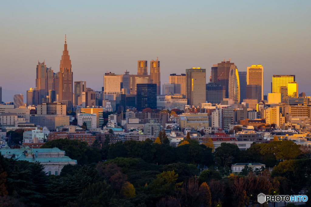 夜明けのビル群