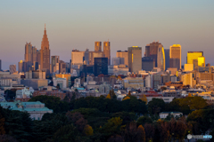 夜明けのビル群