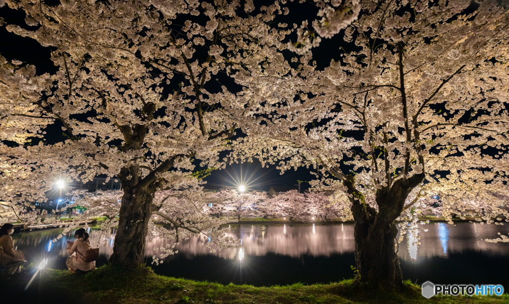 弘前公園西濠にて-Ⅴ