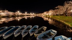 弘前公園の夜-Ⅳ