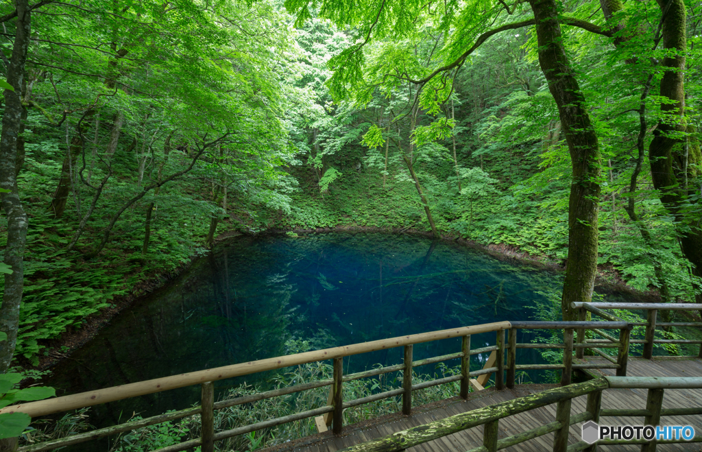 青池の朝