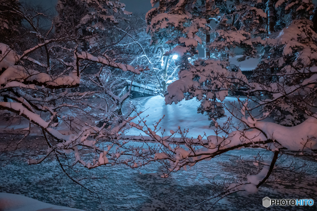 雪の夜スナップ‐Ⅱ