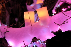冬の夜桜〜弘前城雪灯籠祭りにて〜