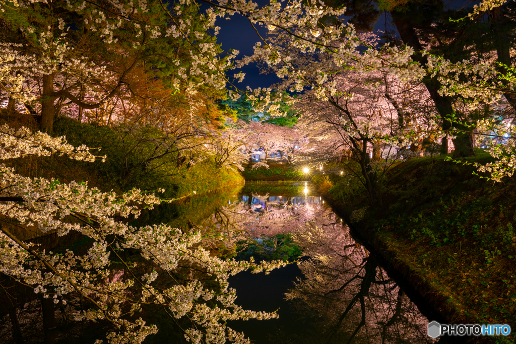 弘前公園内濠にて