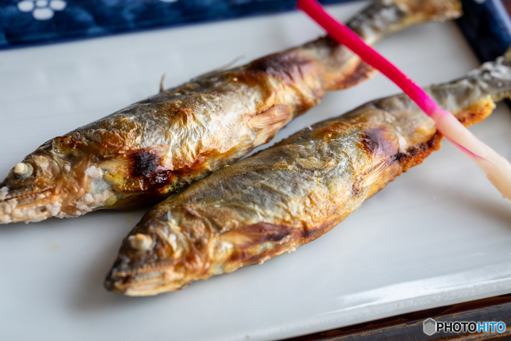 鯵ヶ沢の恵み-Ⅱ