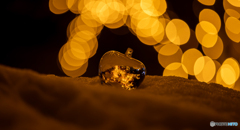 弘前公園雪灯籠祭りにて-Ⅰ