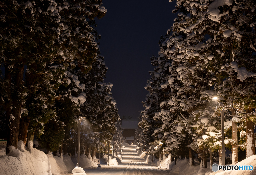 禅林街 夜明け前