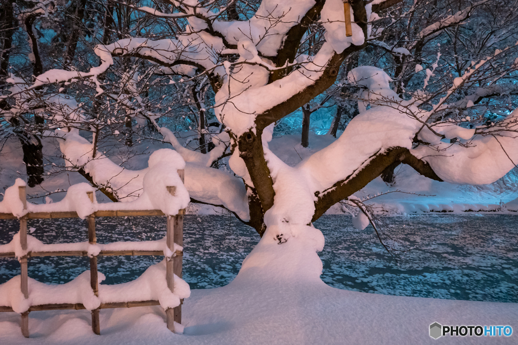 雪の夜スナップ-Ⅰ