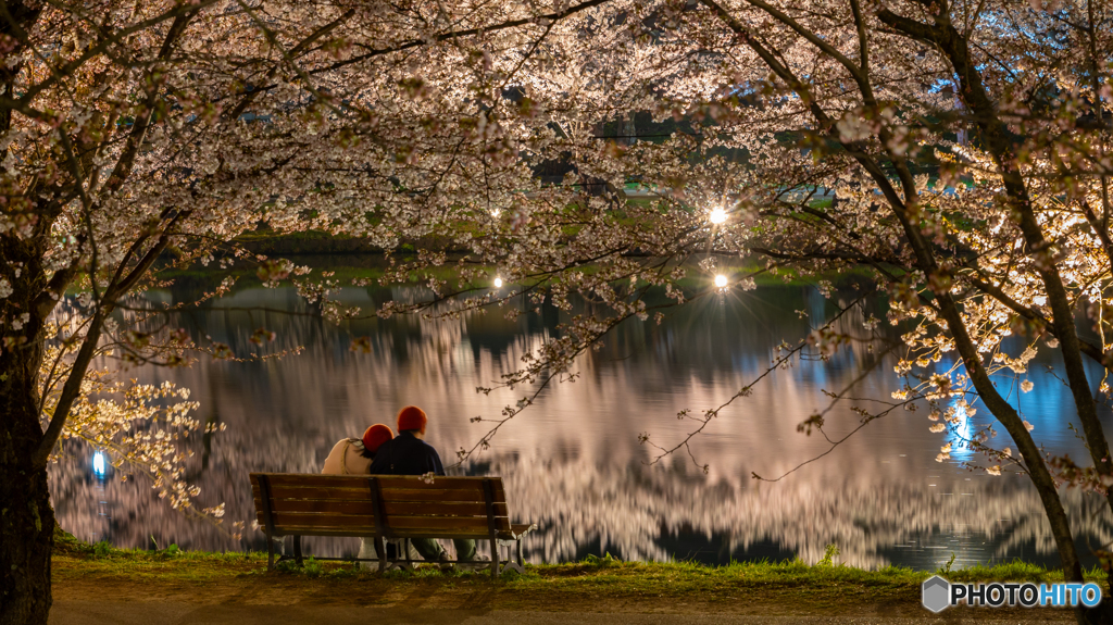 弘前公園の夜‐2025