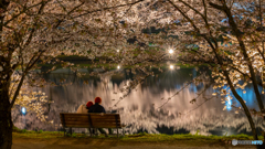 弘前公園の夜‐2025