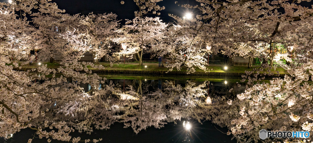 西濠にて