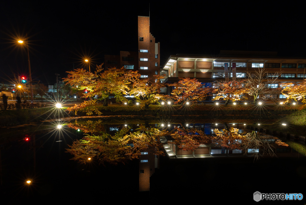弘前市役所前の夜景