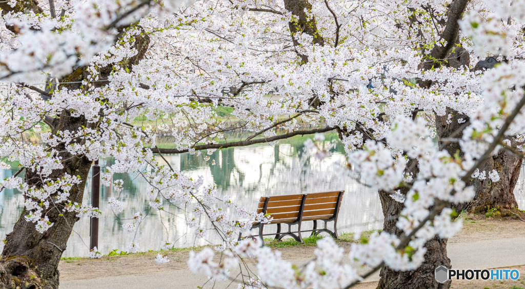 静寂の弘前公園-Ⅸ