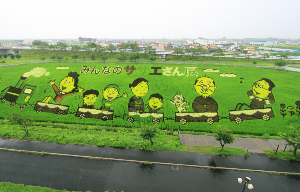 田んぼアート−２