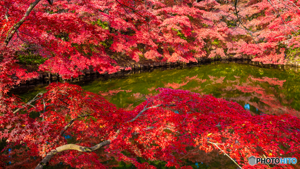 弘前公園の秋-Ⅰ