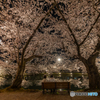 弘前公園の夜-17