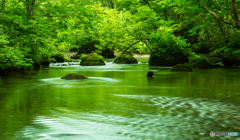 朝の清流-Ⅳ