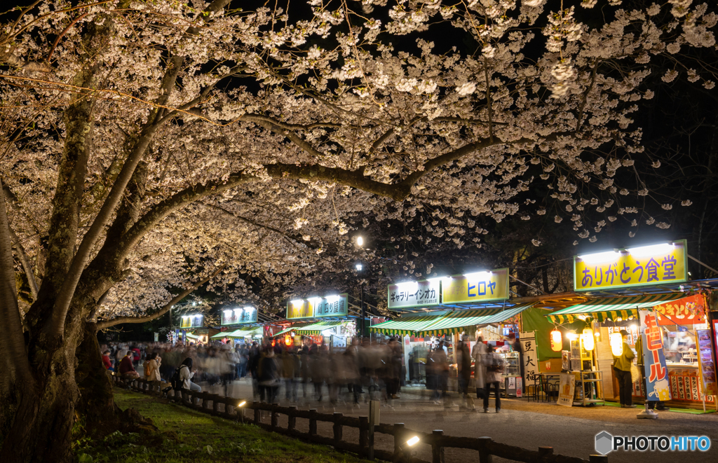 弘前公園の夜₋Ⅻ