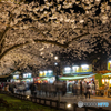 弘前公園の夜₋Ⅻ