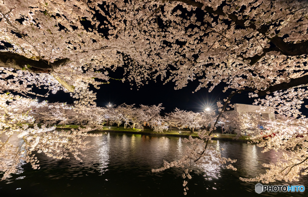 弘前公園西濠にて-Ⅳ