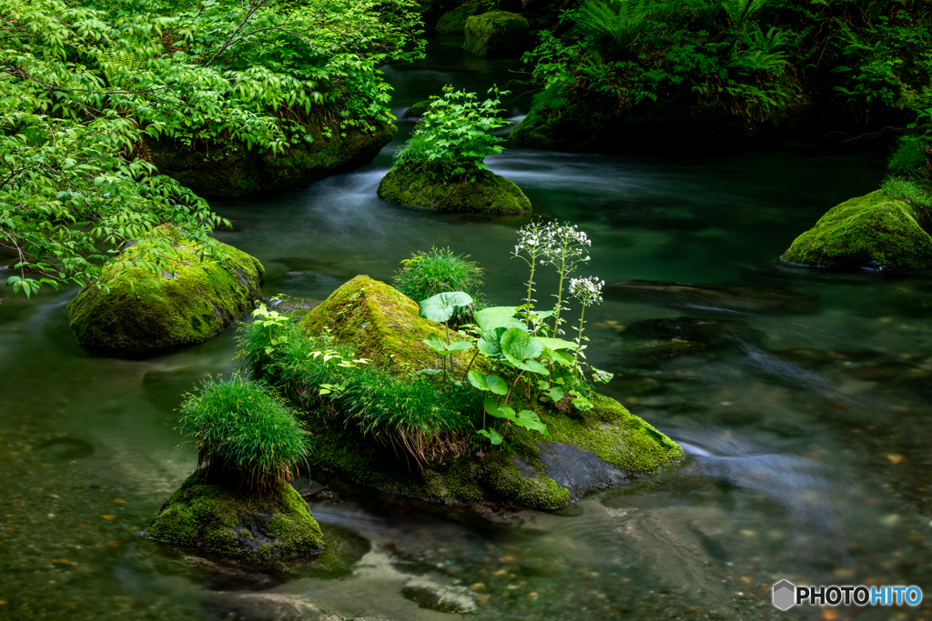 新緑の奥入瀬渓流-Ⅰ