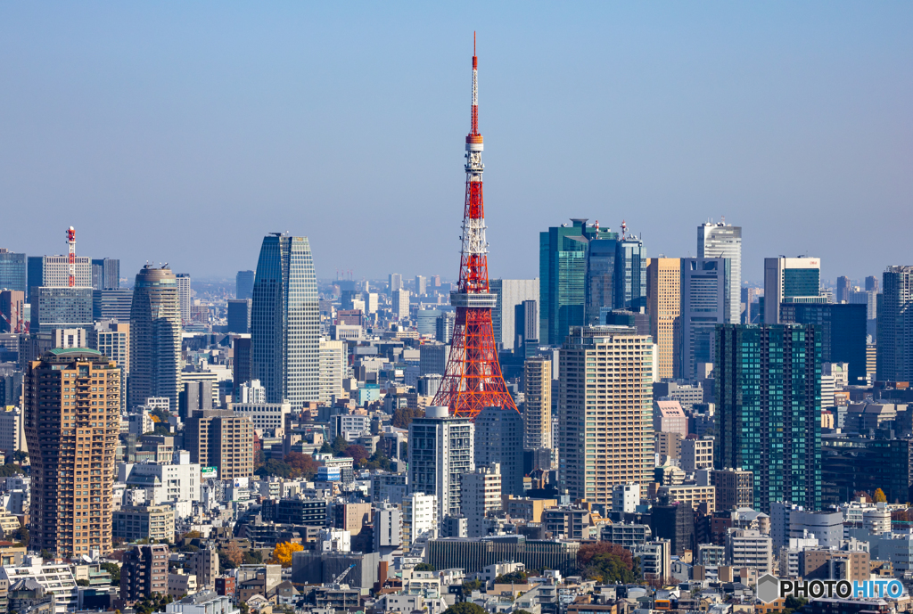 恵比寿ガーデンプレイスタワーにて