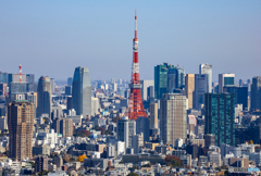 恵比寿ガーデンプレイスタワーにて