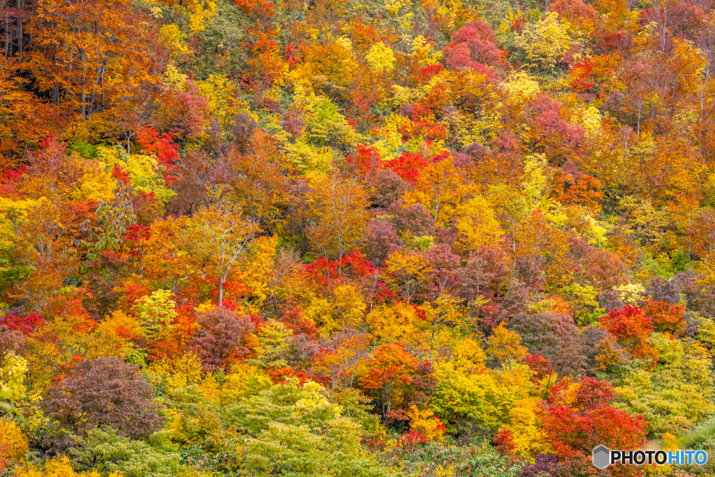 酸ヶ湯の秋模様（再編集）
