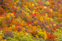 酸ヶ湯の秋模様（再編集）