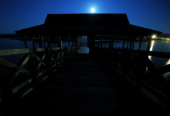 月夜に渡る鶴の舞橋