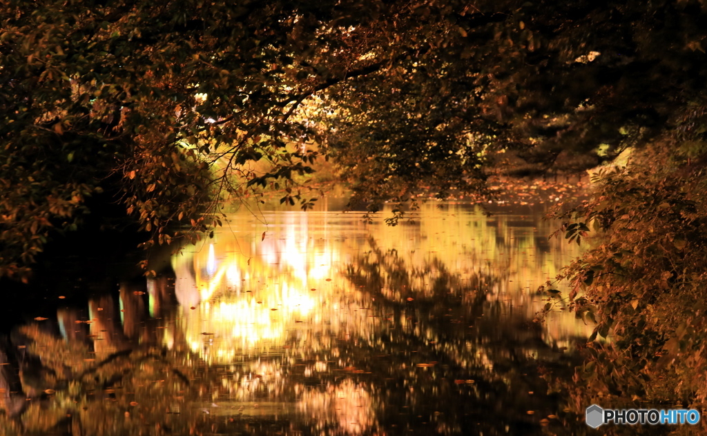 弘前公園〜夜の外濠にて〜