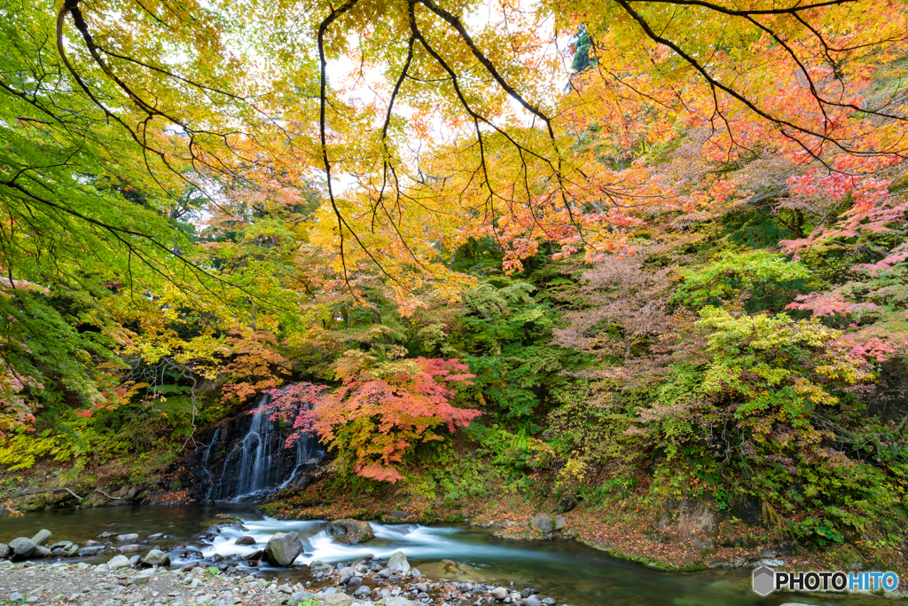 中野もみじ山にて