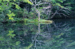 ９月の蔦沼−Ⅰ