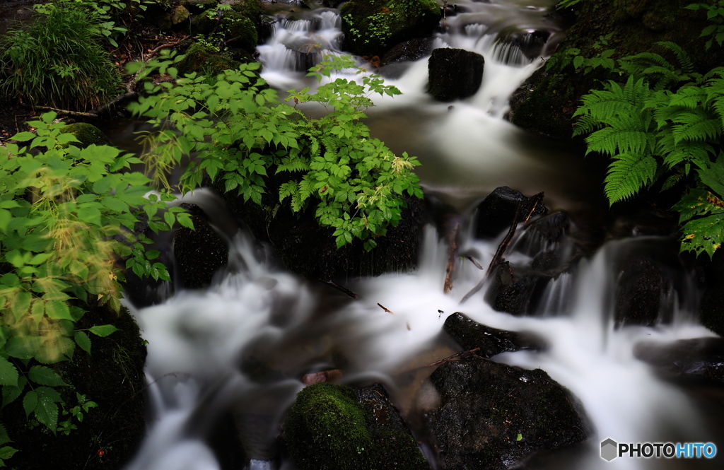 涼をもとめて-Ⅱ