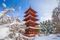 ひとときの晴れ間に