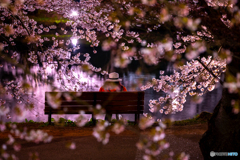 弘前公園の夜-Ⅶ